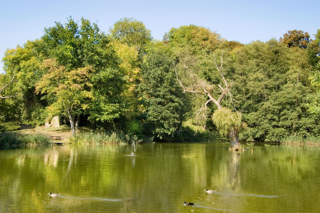 Hotel Burg Bollendorf Zewnętrze zdjęcie